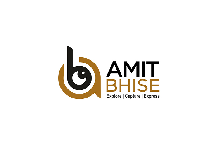 Logo-design-amit-bhise